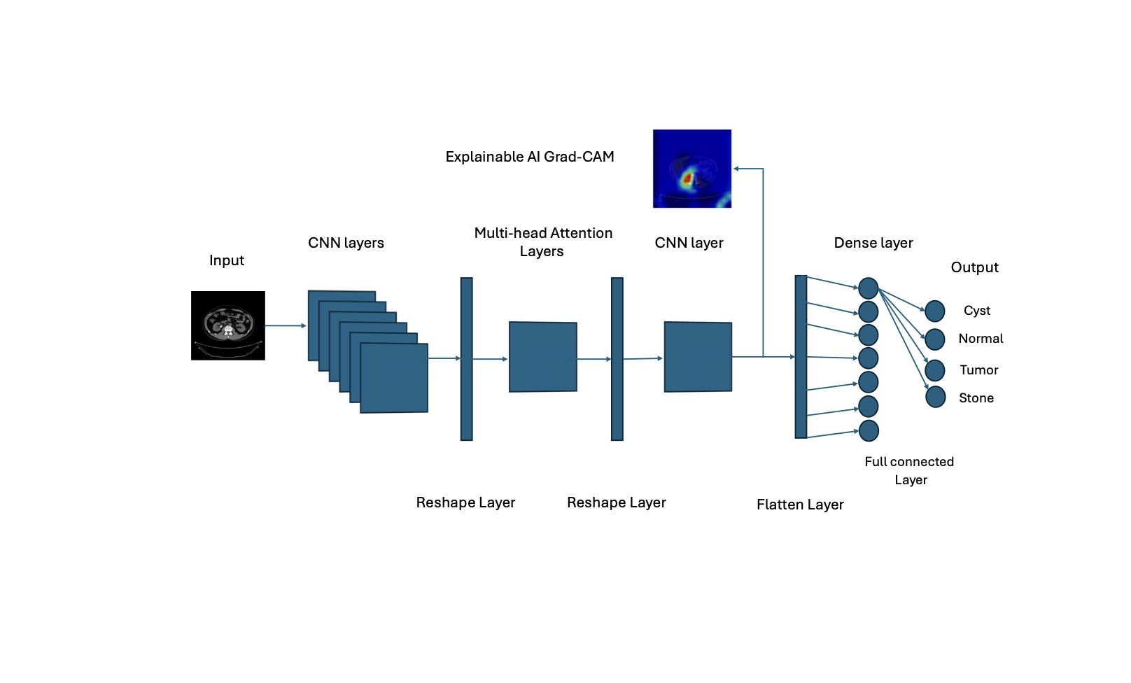 TransConvNet hybrid Transformer-CNN architecture